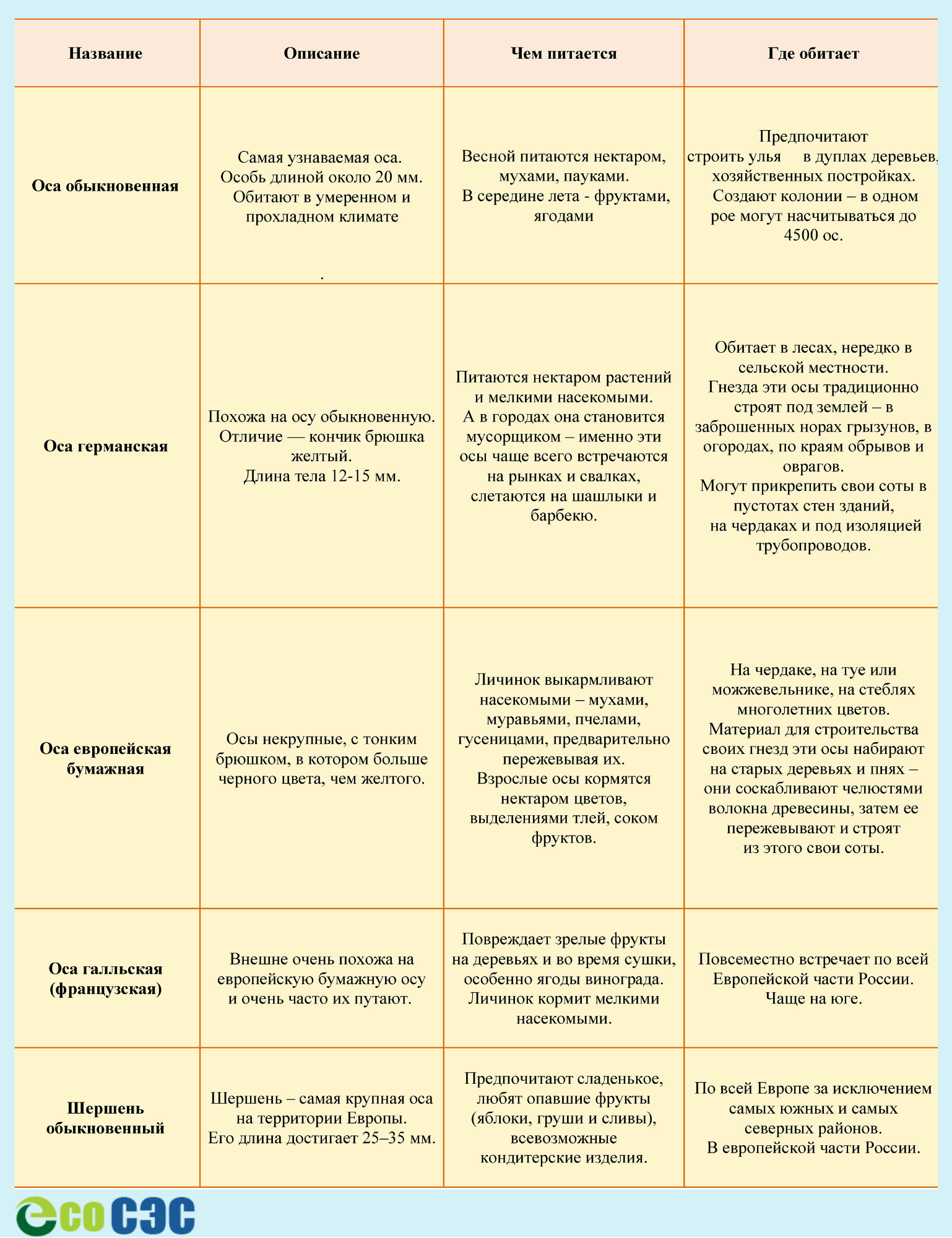 Как обработать участок от ос и шершней