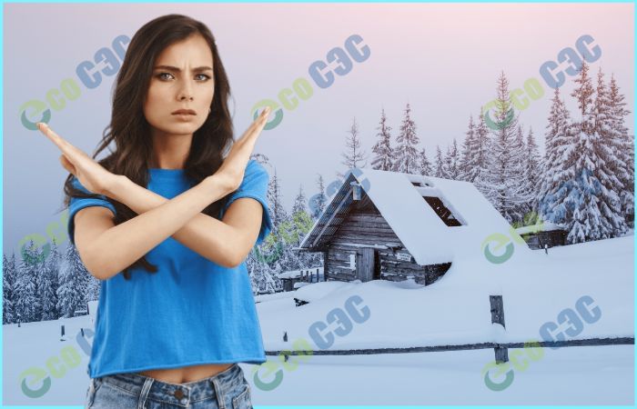 Влияние холода на короеда