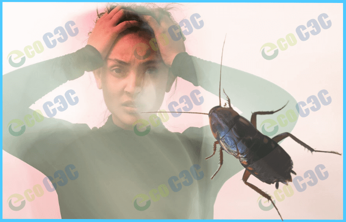 Как избавиться от тараканов в доме: проверенные способы