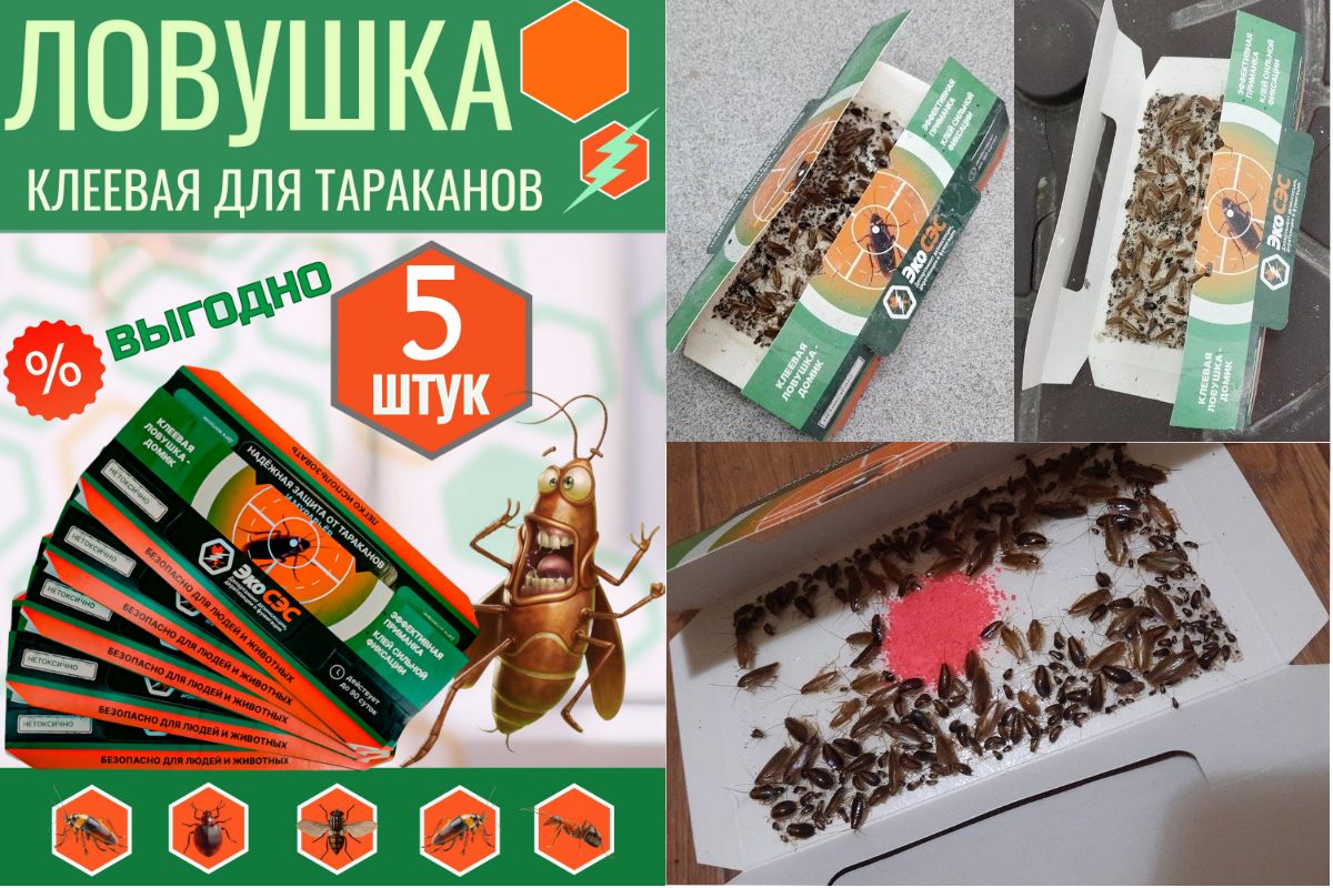 Ловушки для тараканов
