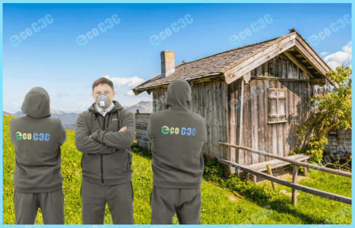 Как при помощи фумигации избавиться от короеда в каркасном доме - фото